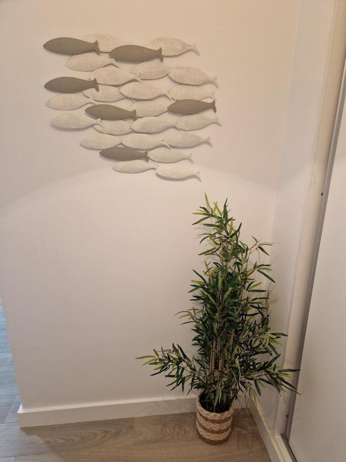Apartamento T2 Palmeira Gale-Praia Da Gale Guia  Exteriér fotografie