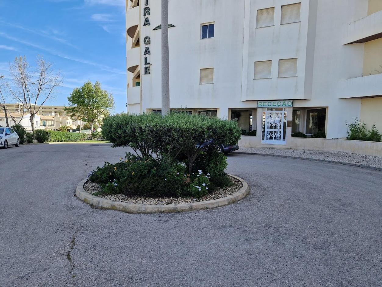 Apartamento T2 Palmeira Gale-Praia Da Gale Guia  Exteriér fotografie